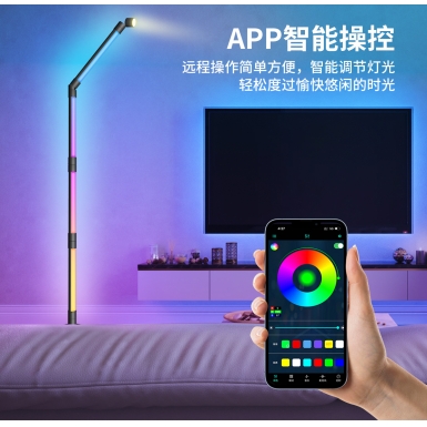 LED室内灯 - HCP204  阅读氛围落地灯